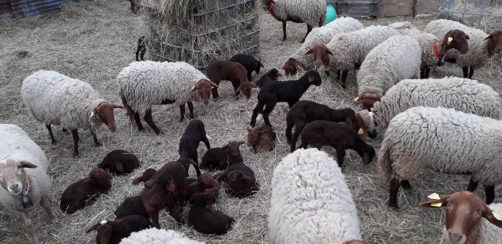 98291bcd 70b3 4de9 b3fc 886766ee4200