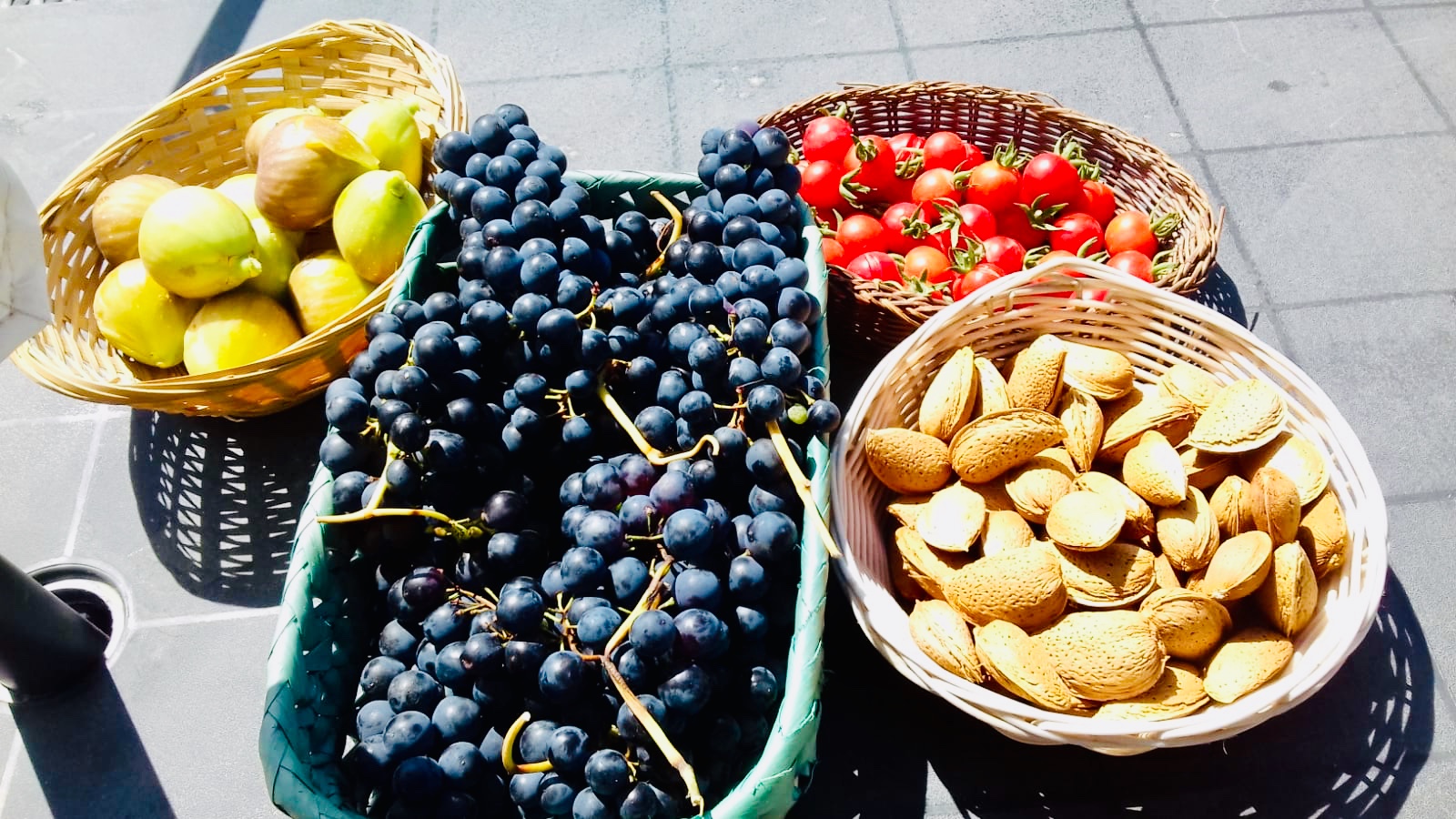 31011999 f41a 4b04 8f0d 6929927615c7 1 