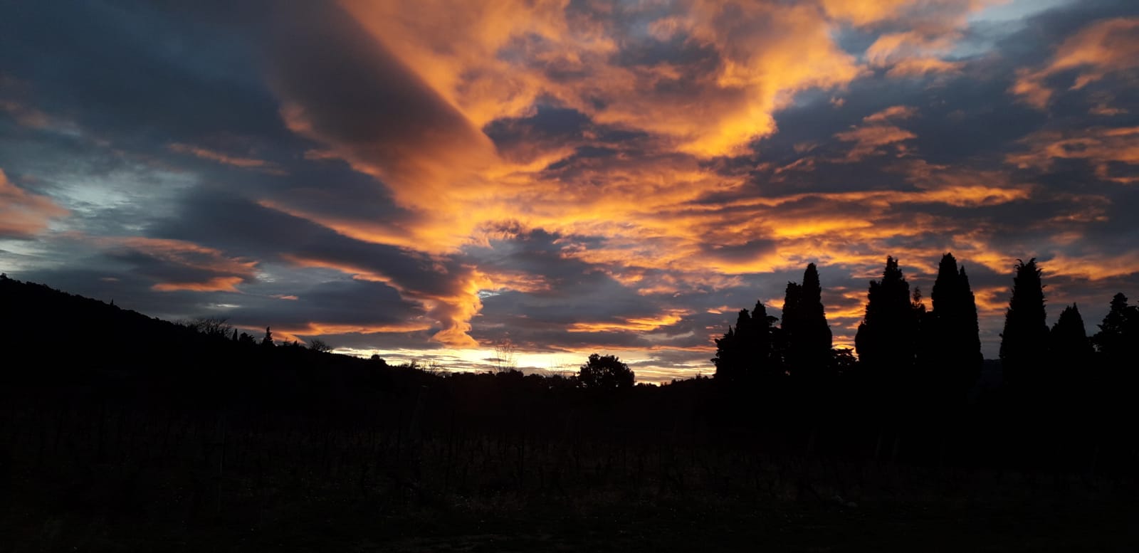 082b5cdc 40c7 4185 a8d9 7ed397ffae59 1 