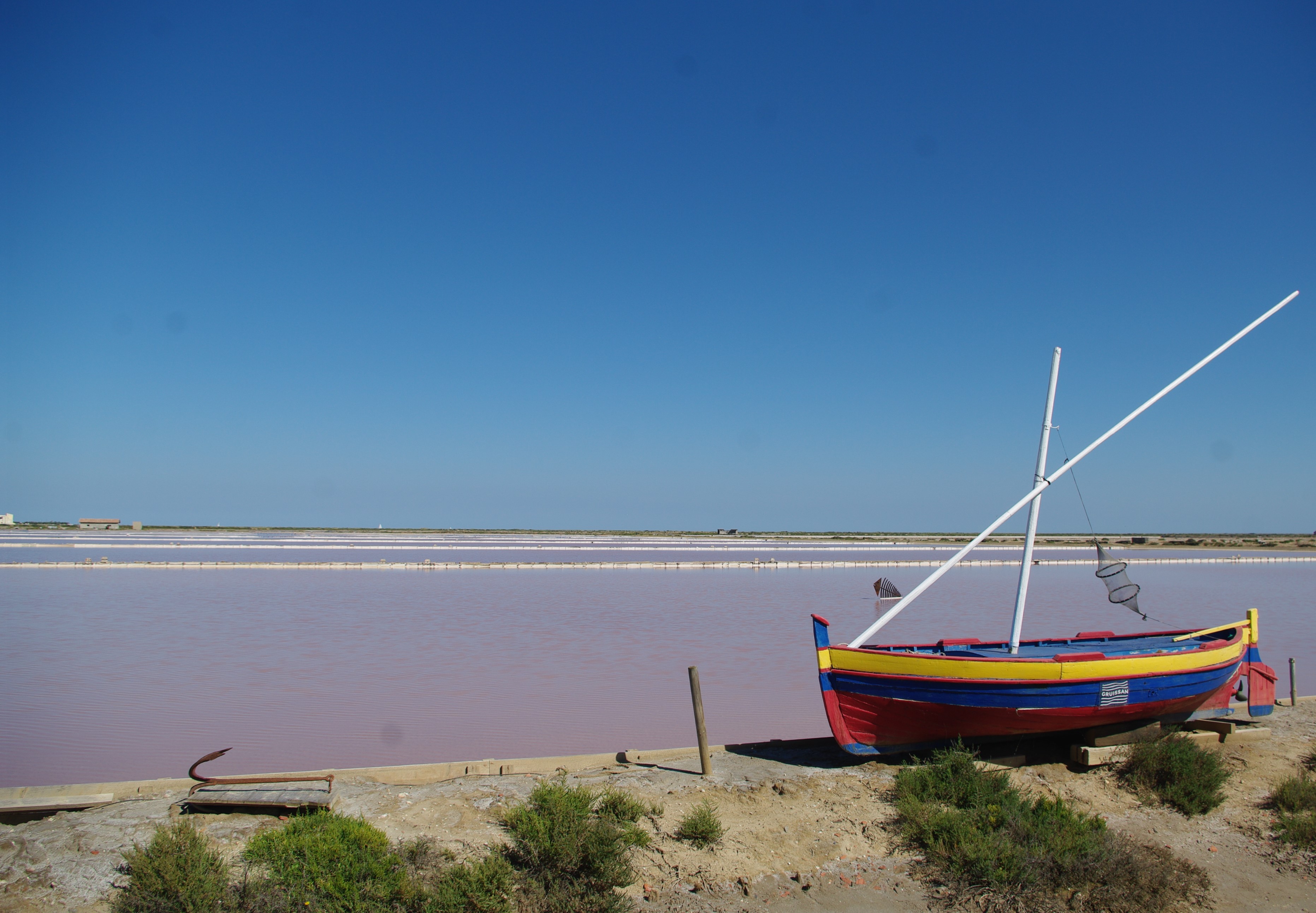 Imgp9701