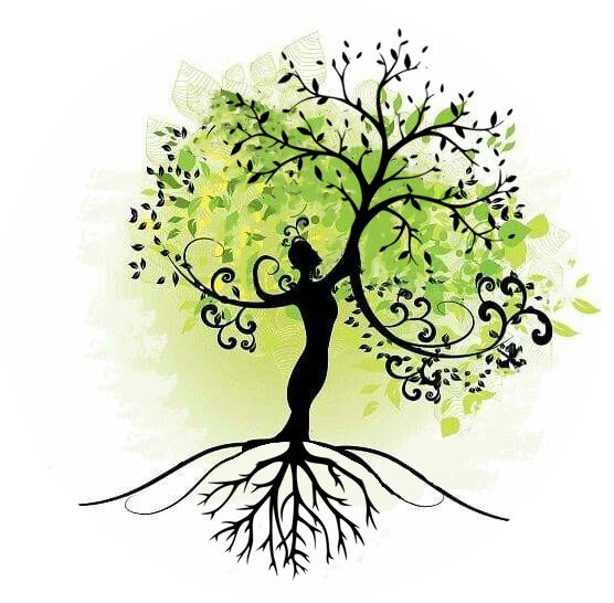 Logo belle maman