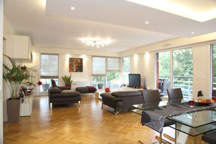 Appartement issy d salon 2