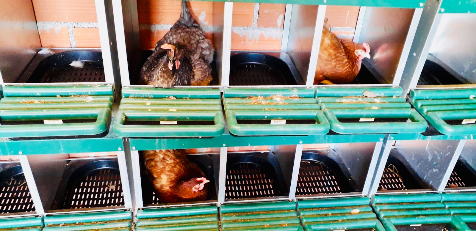 Be644c93 bbca 4794 9b23 082c9027e1f5