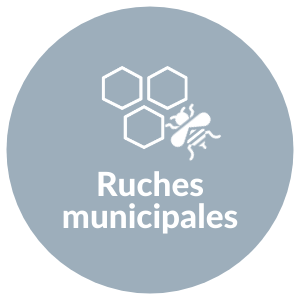 ruches municipales Percy-en-Normandie