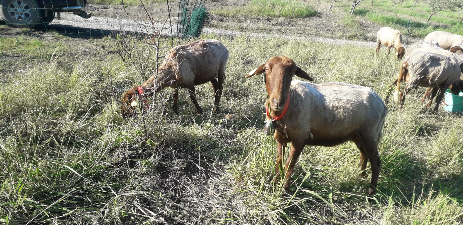 59ed9241 de4d 42d9 9e5d 2893308167c9