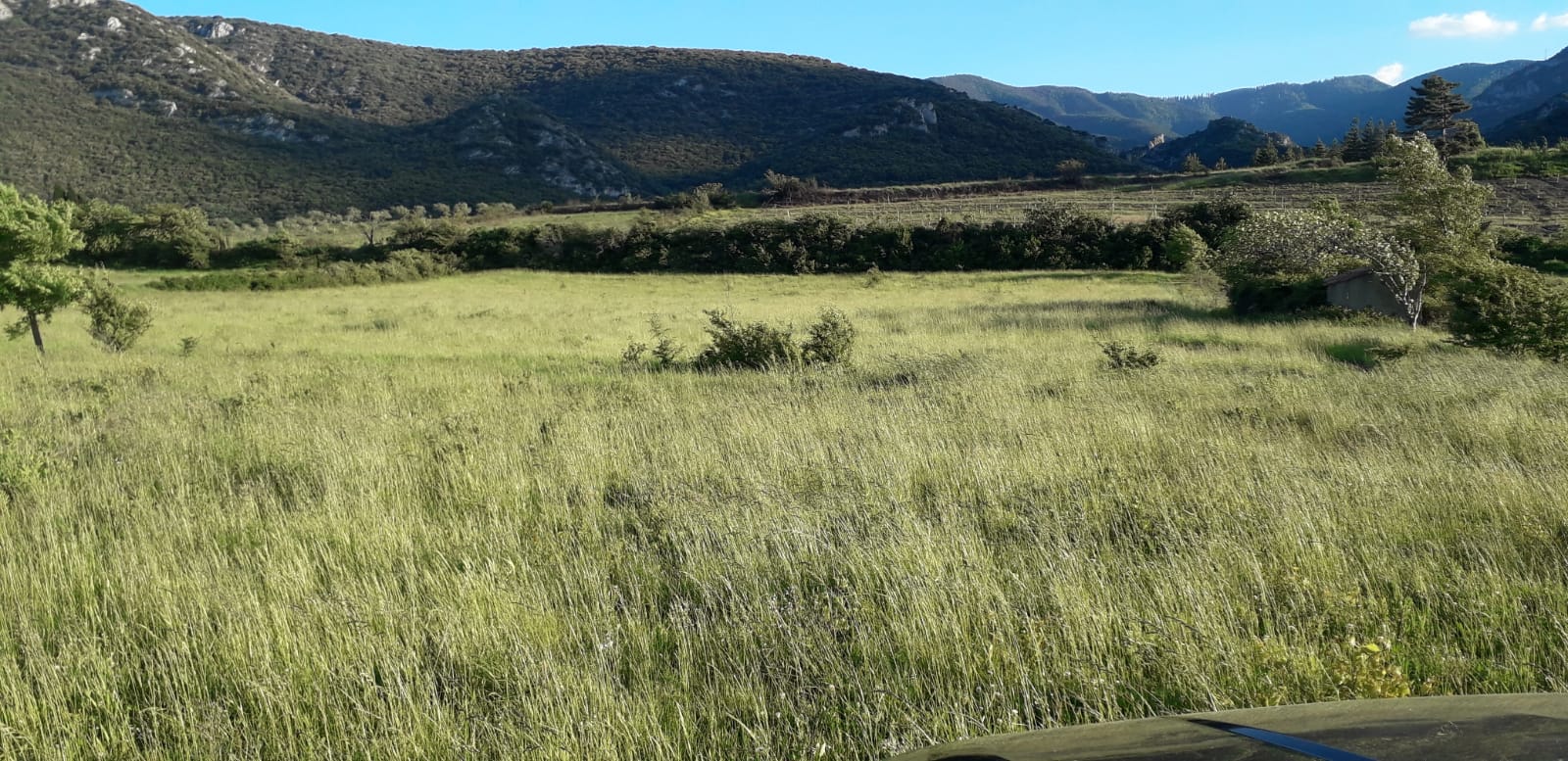 F354ea75 c3df 4d9f 9880 4a7cc46c53ad