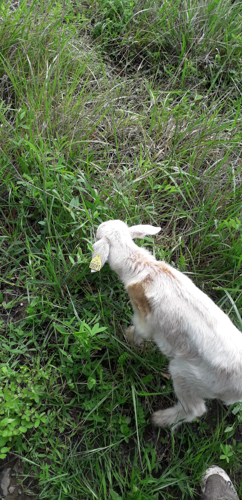 4b3b5790 cf72 4566 abe8 c9580a095c0d