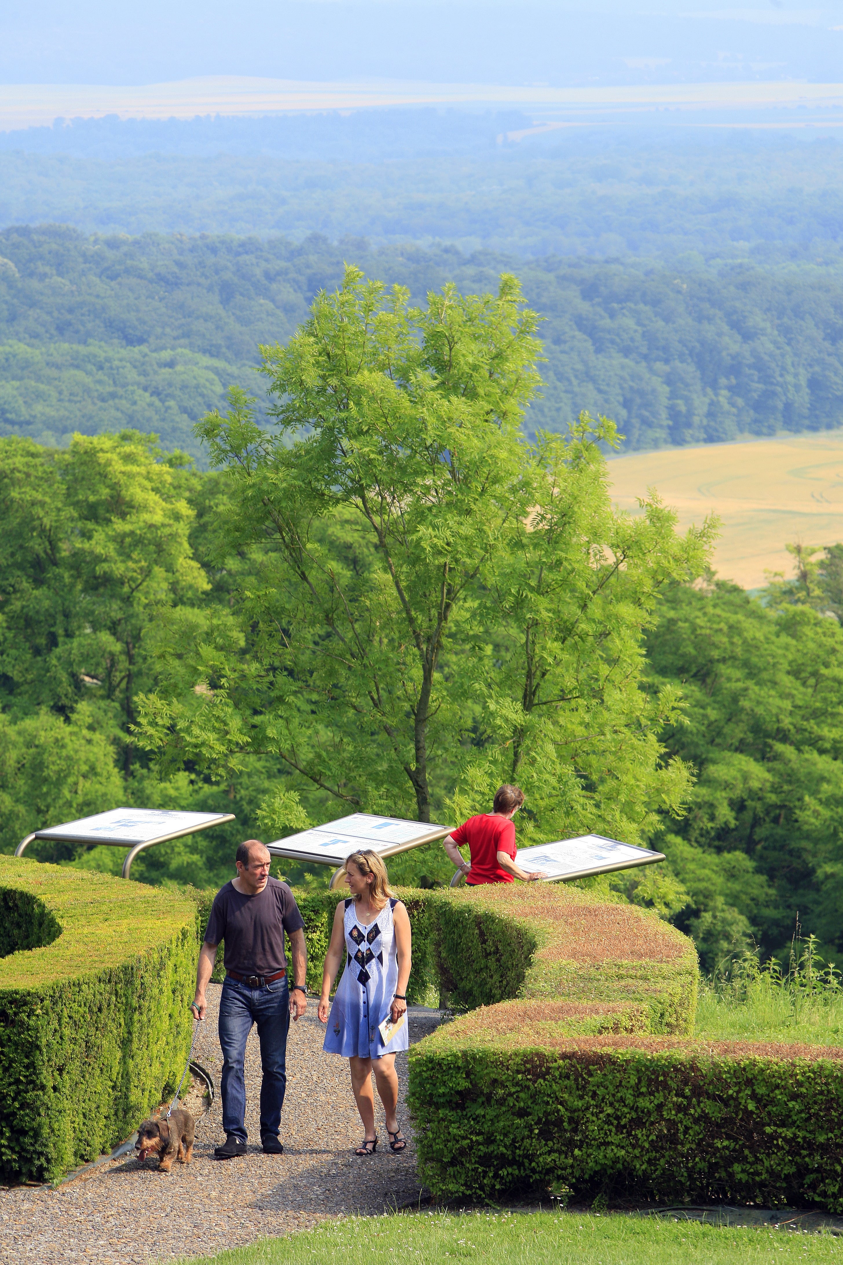 Plateau de Californie AS Flament 1 min