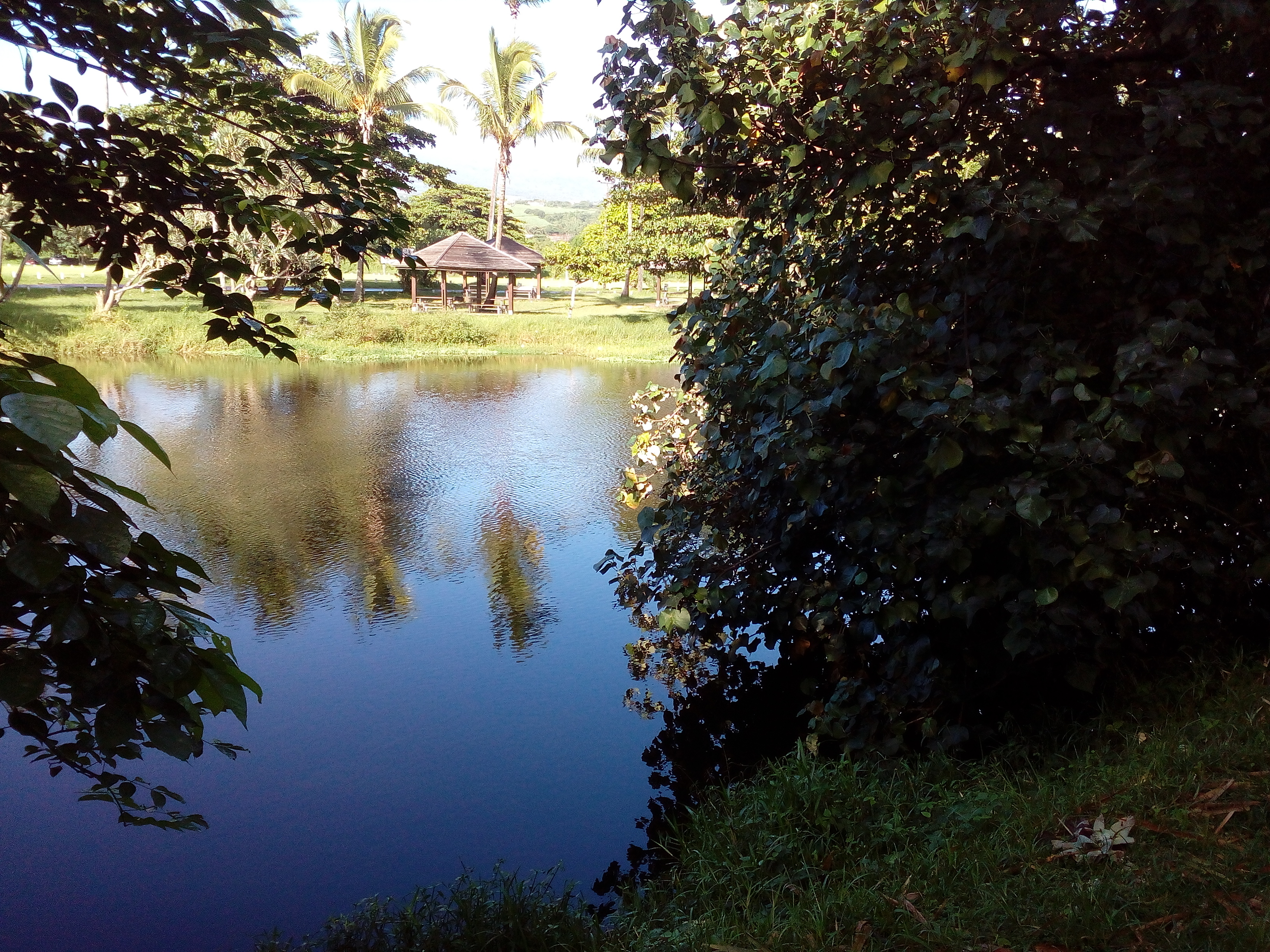 Img 20170318 082453