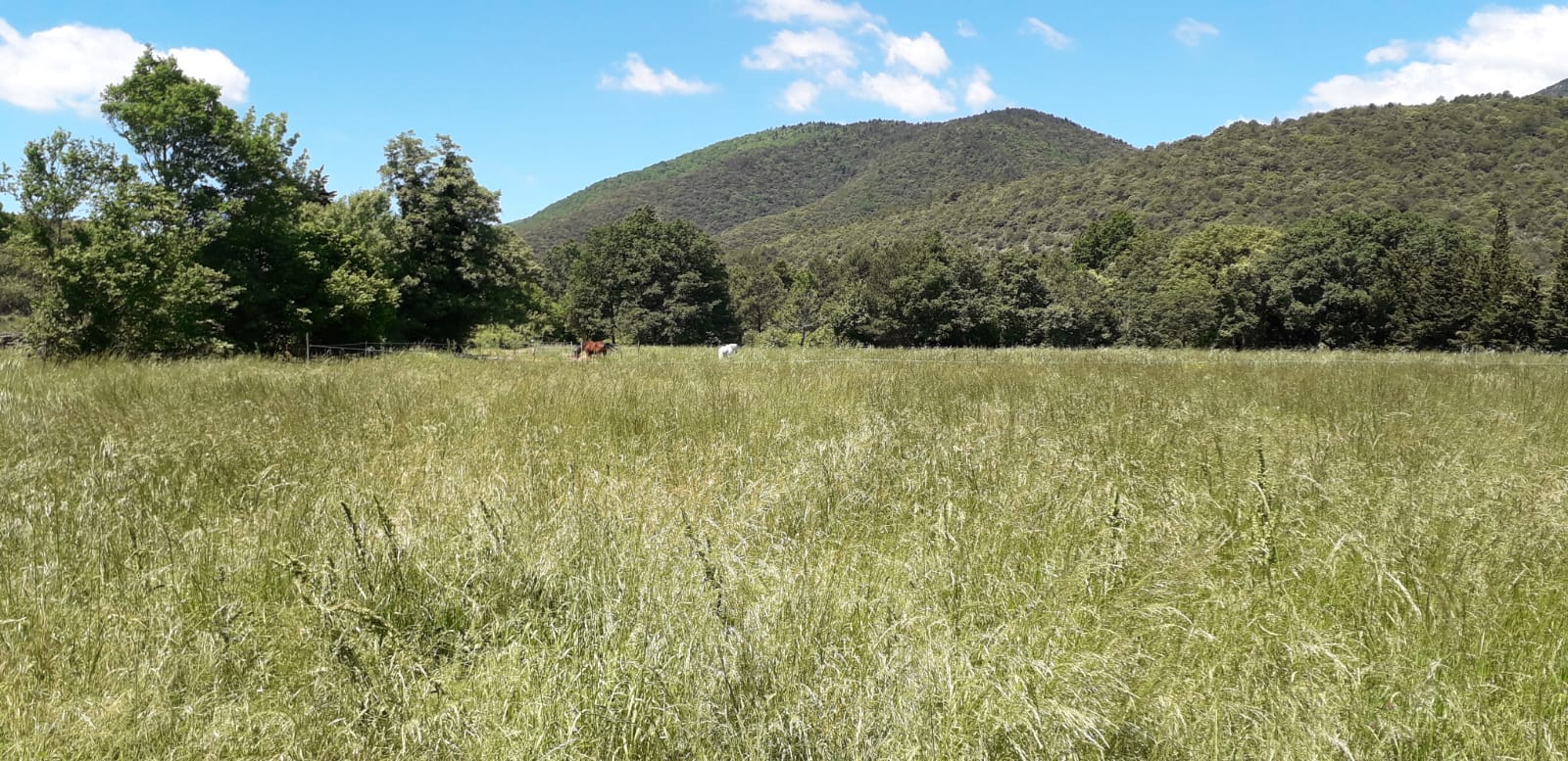 428e44b7 8607 4299 b978 5298df973a14