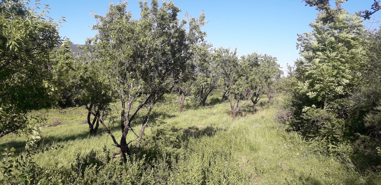 Eb1b7f7f 365f 4926 b935 7974c5708c66