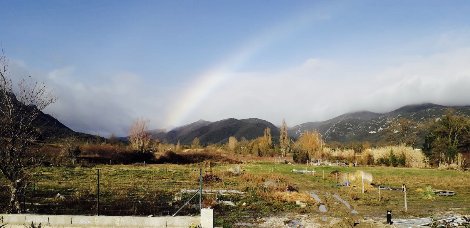 0d42604b 72be 4564 aeeb 984e43f01701