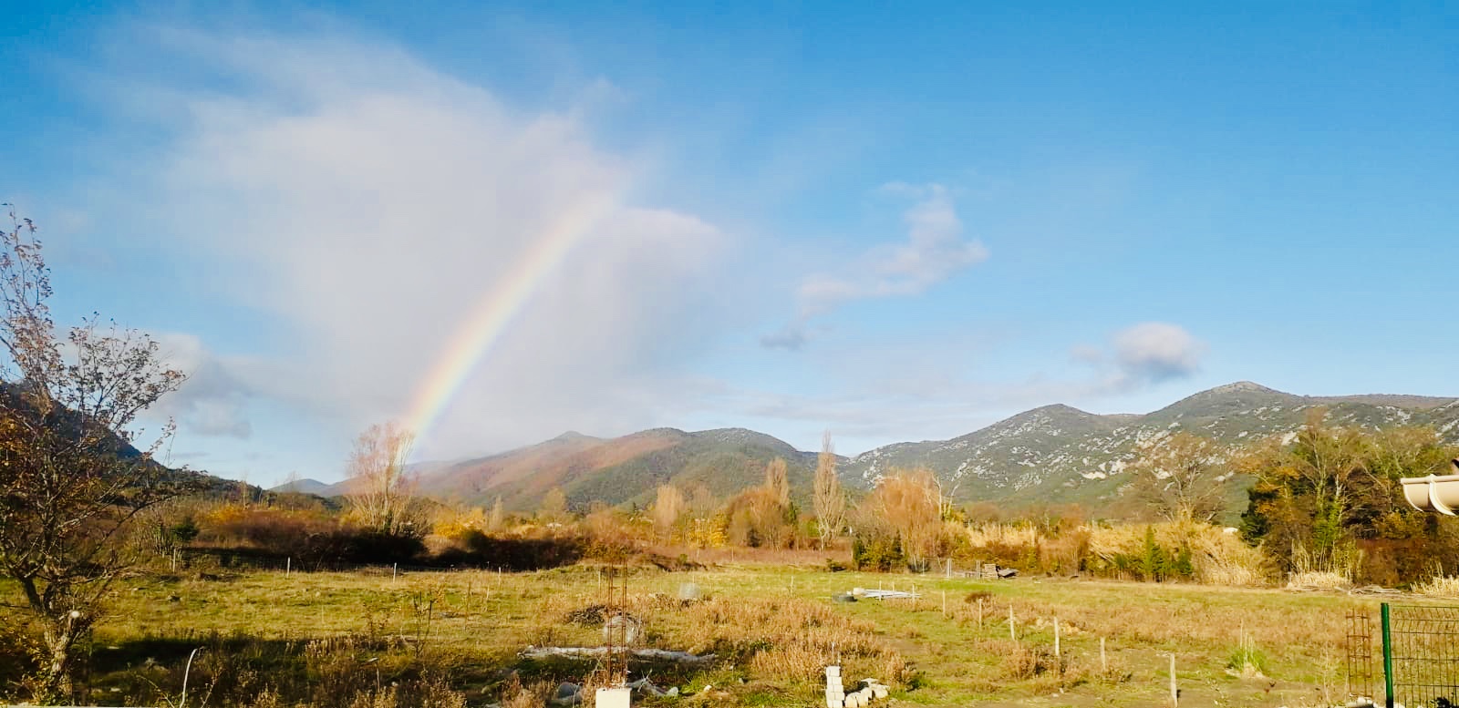 6ffb927d 8308 4c46 a4eb c5f8260f3210