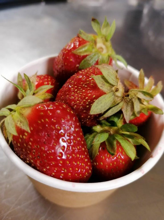 Fraise covid
