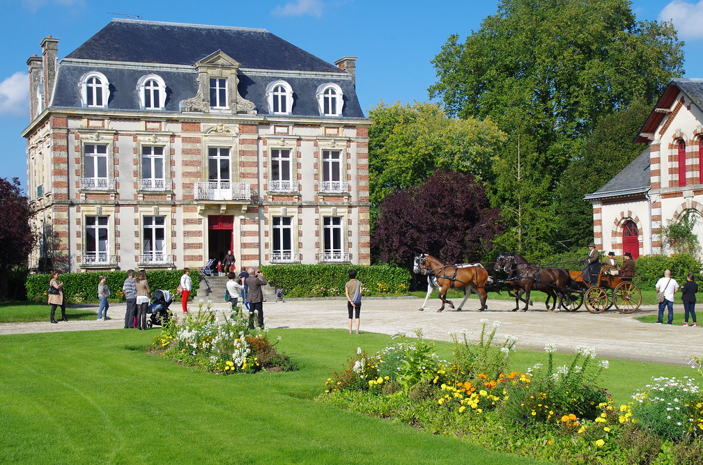 Haras saint lo