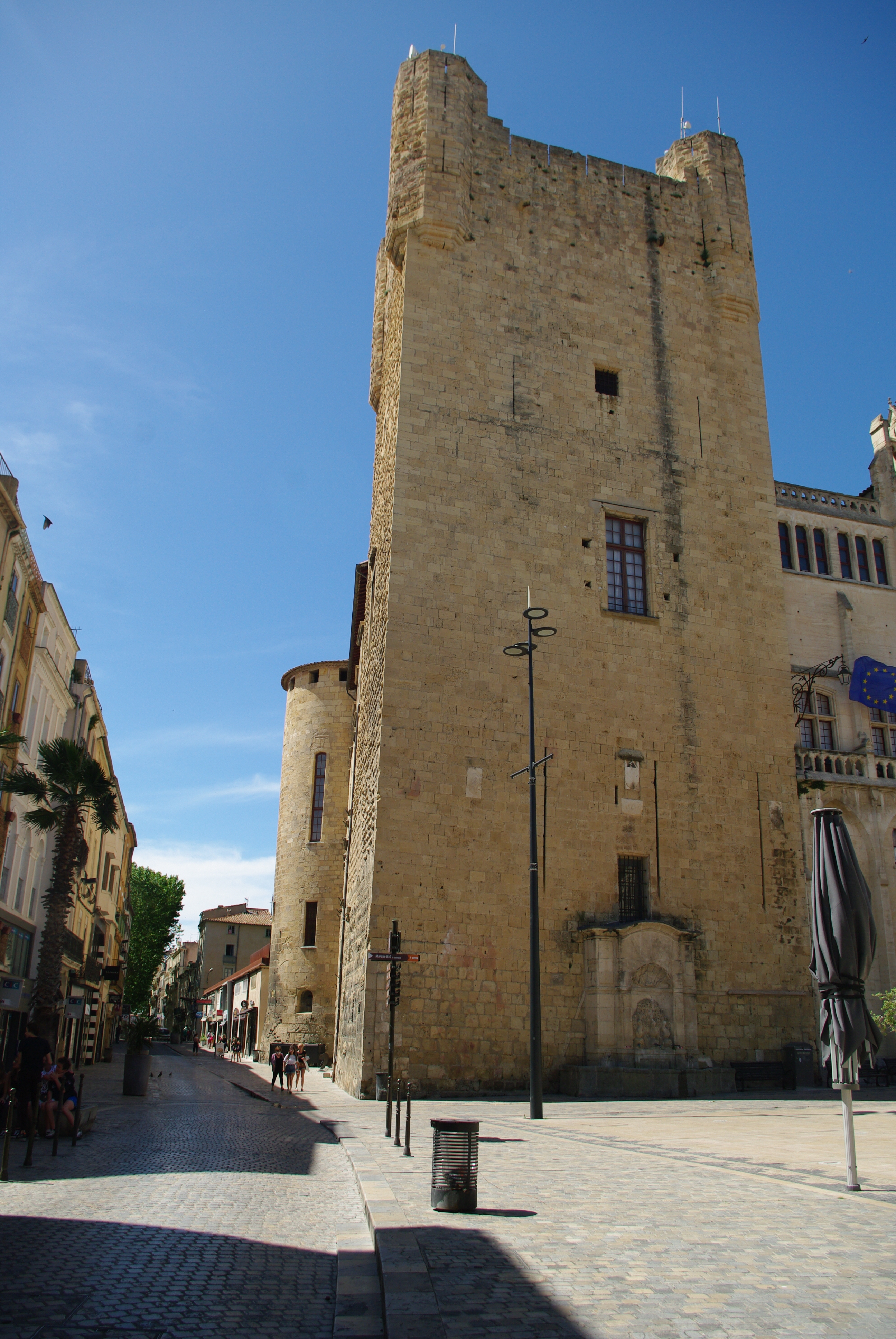 Imgp9592