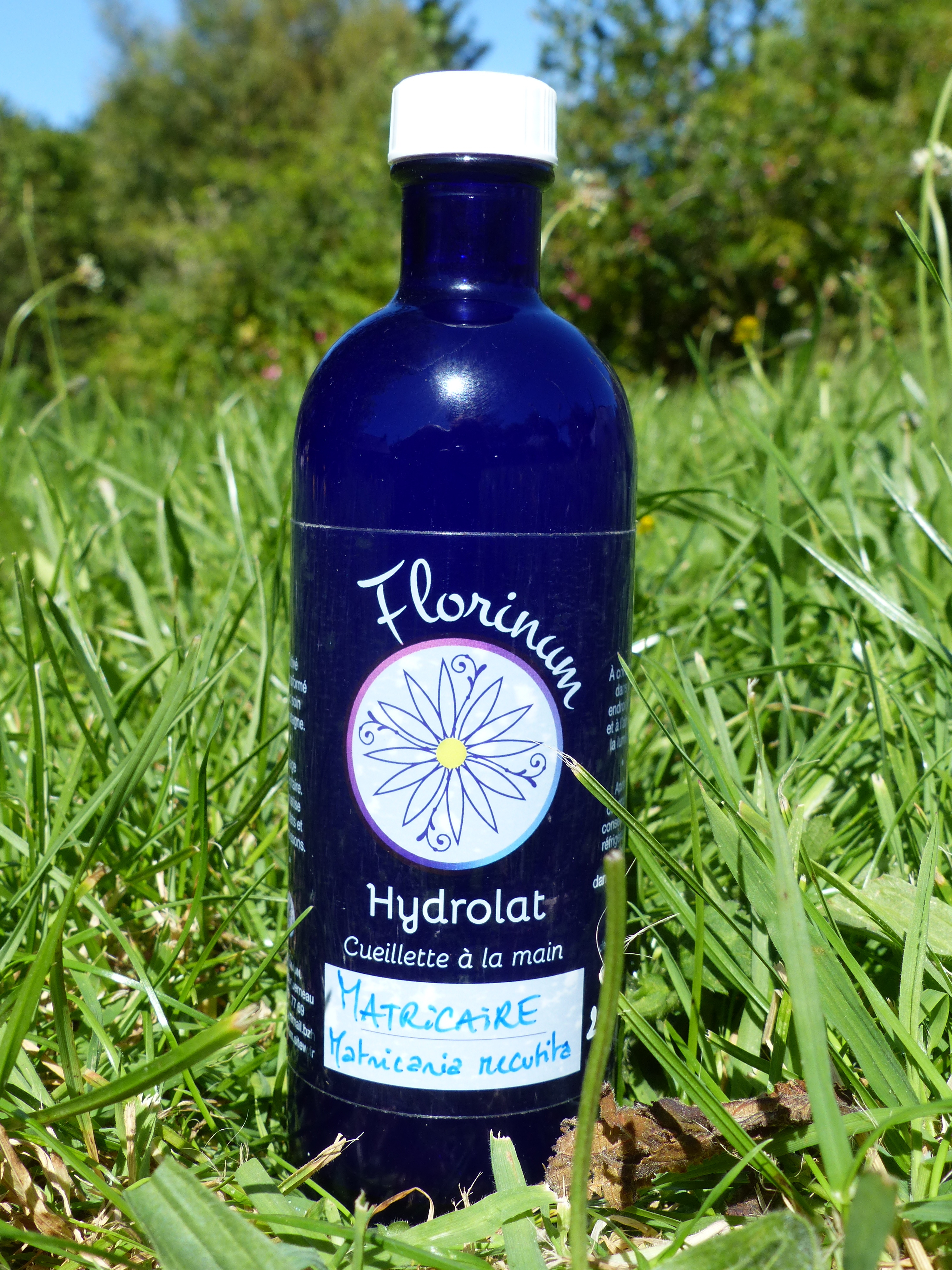 florinum,plantes médicinales,eaux florales,hydrolats,plouguerneau,finistère,bretagne 1