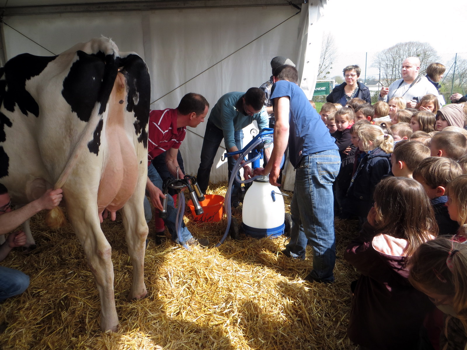 04 2018 festival du lait018