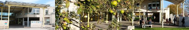 Lycee 0