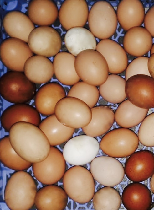 0dcd94c6 a0a6 4c5c 8016 6d97a8b50365