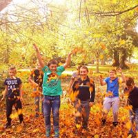 Visites 5