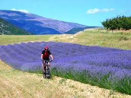 Vtt drome