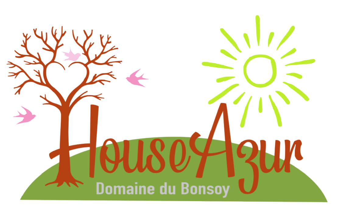 Logo houseazur trans