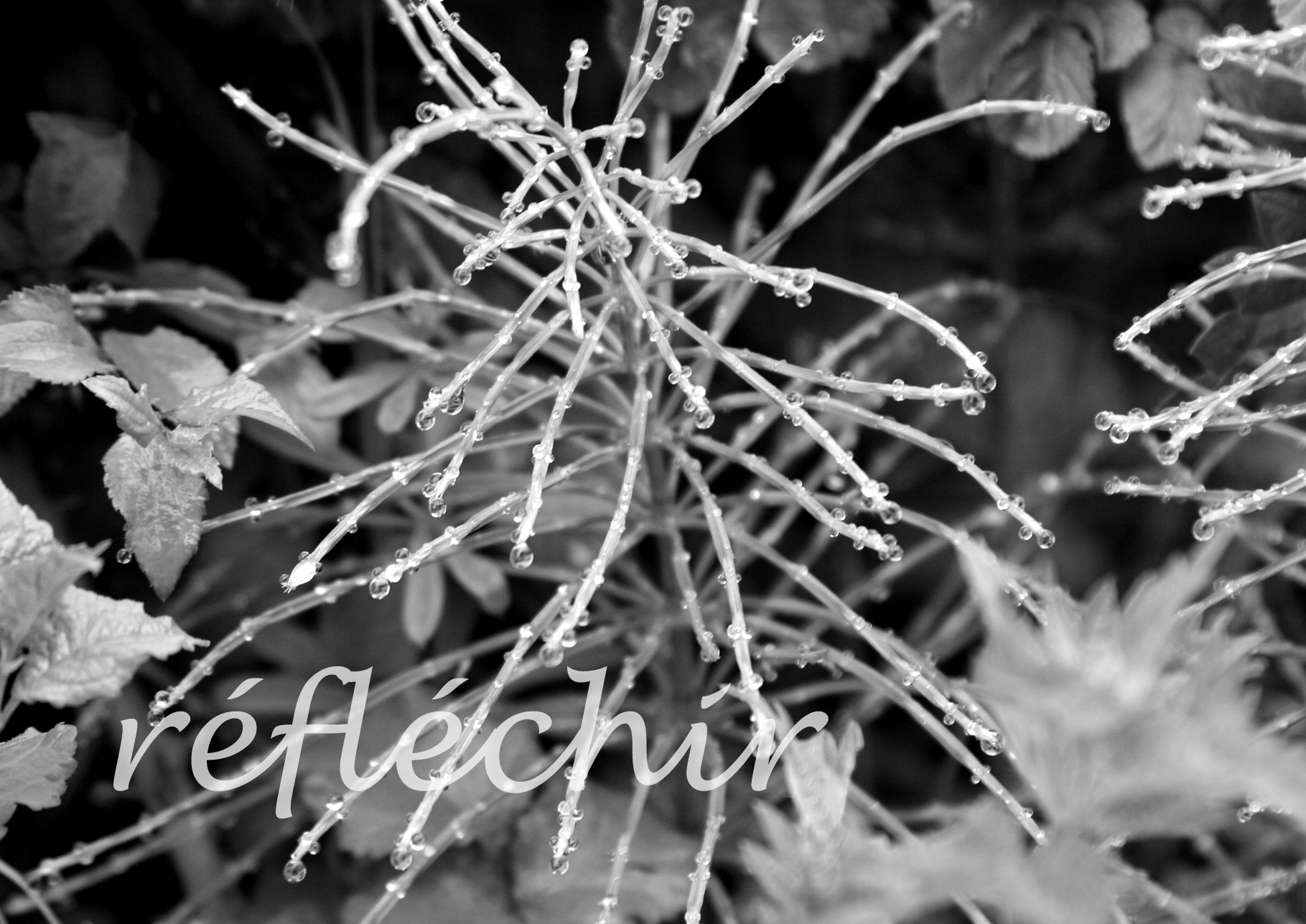 Reflechir