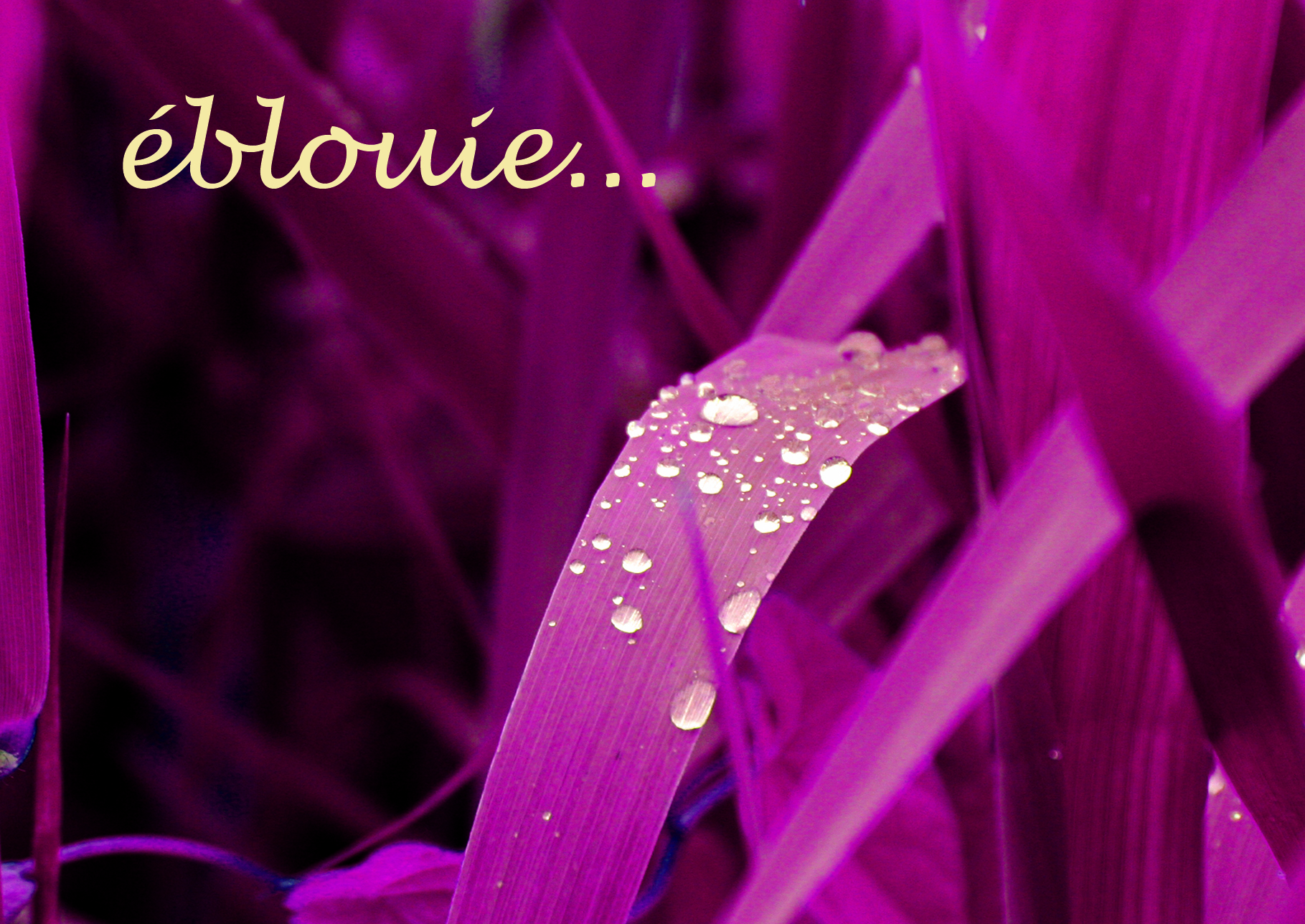 Eblouir