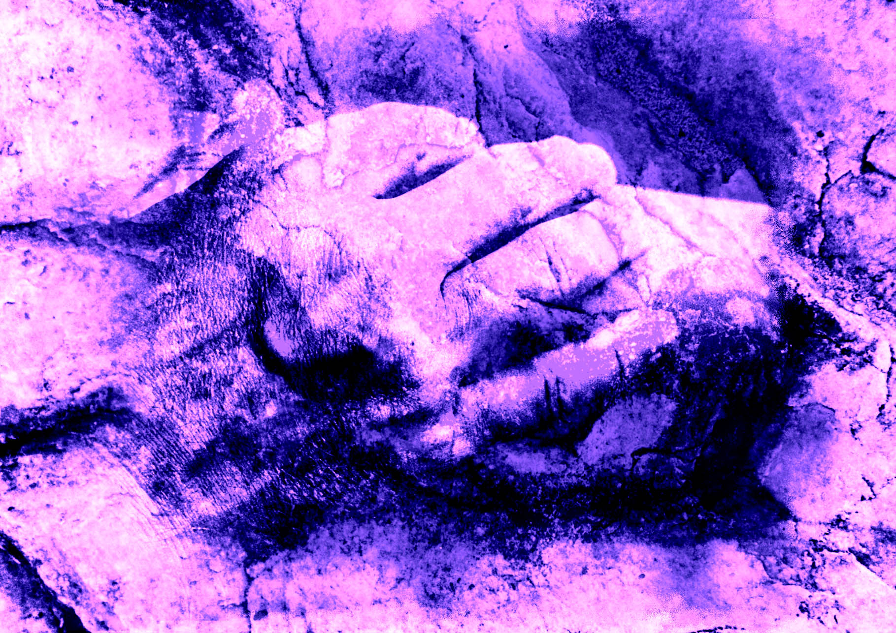 Deux mainsviolet