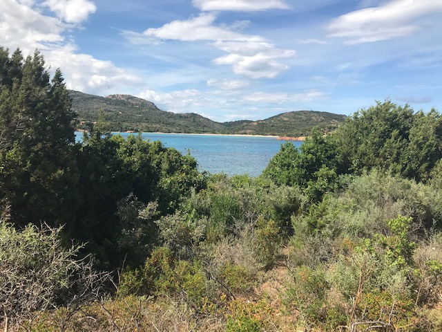 La plage vue du maquis environnant