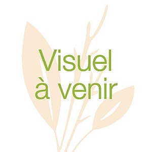 Visuel a venir