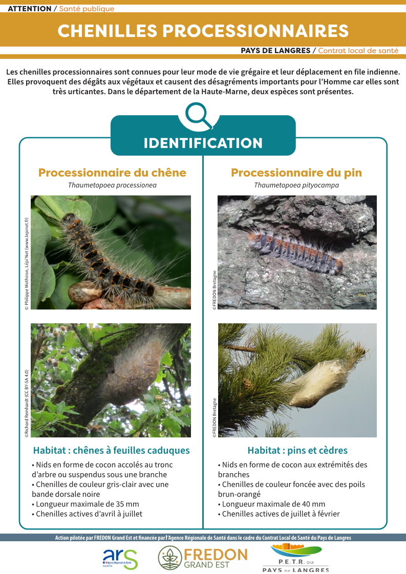 FicheprocessionnairesCLSLangres Page 1