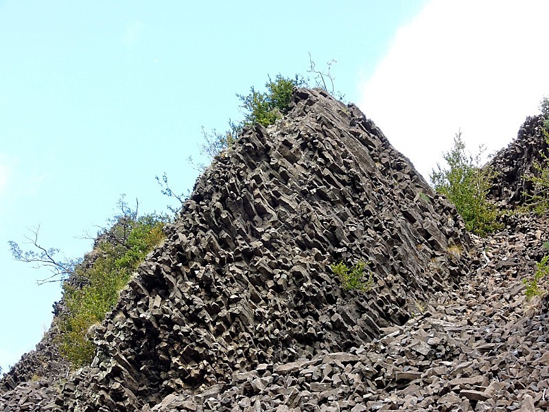 Dscn2709