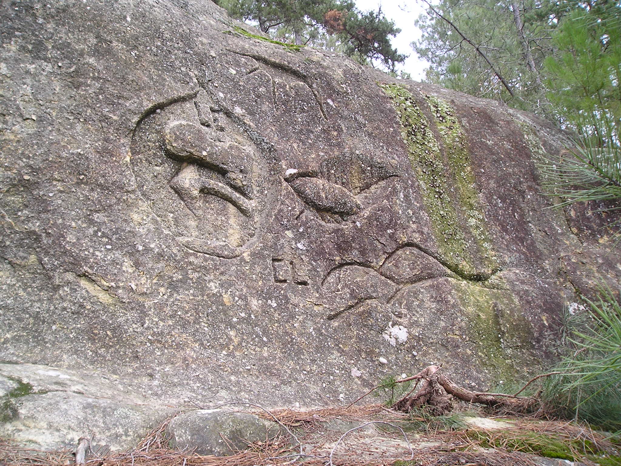 Roche blanche 1