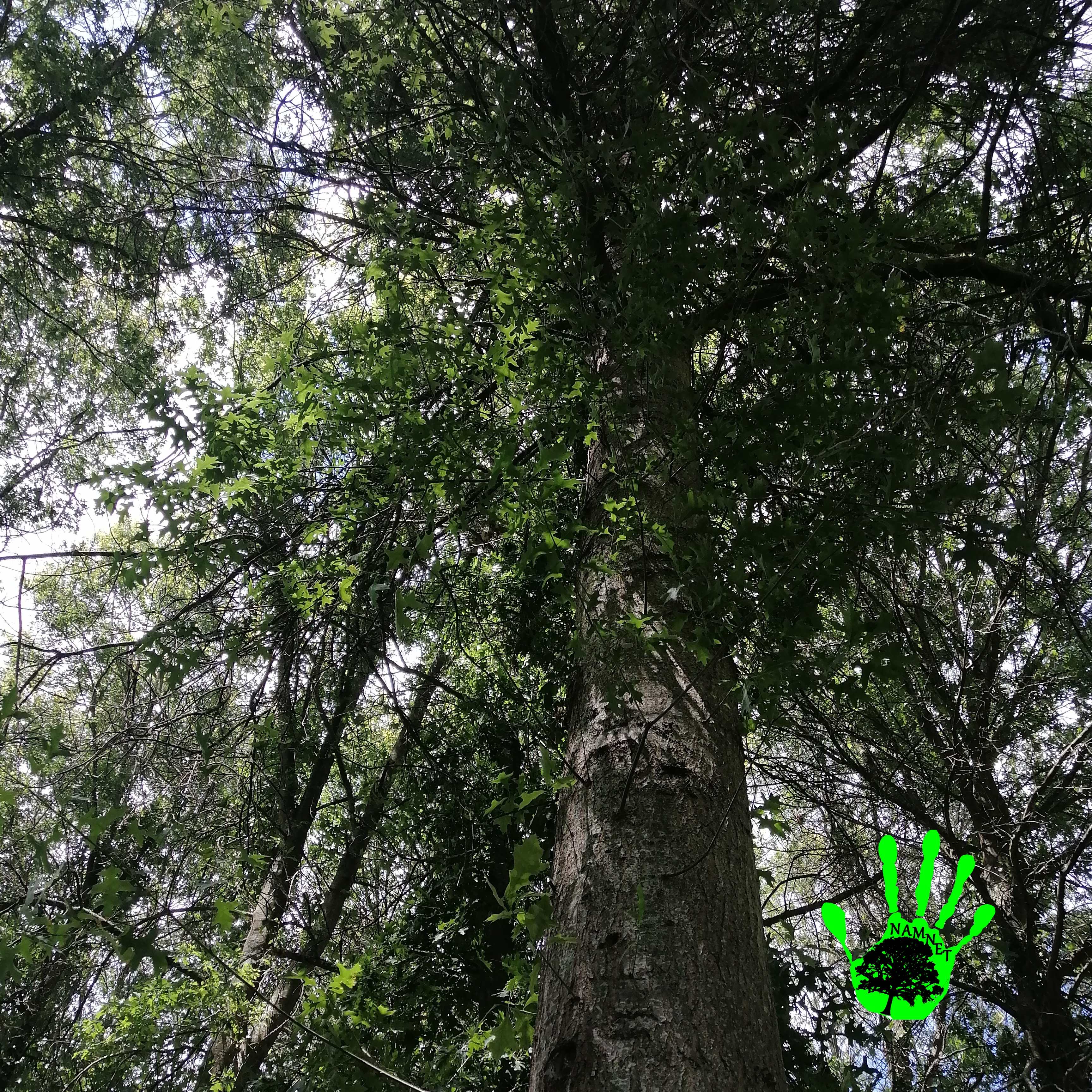 Photo 1592294637703