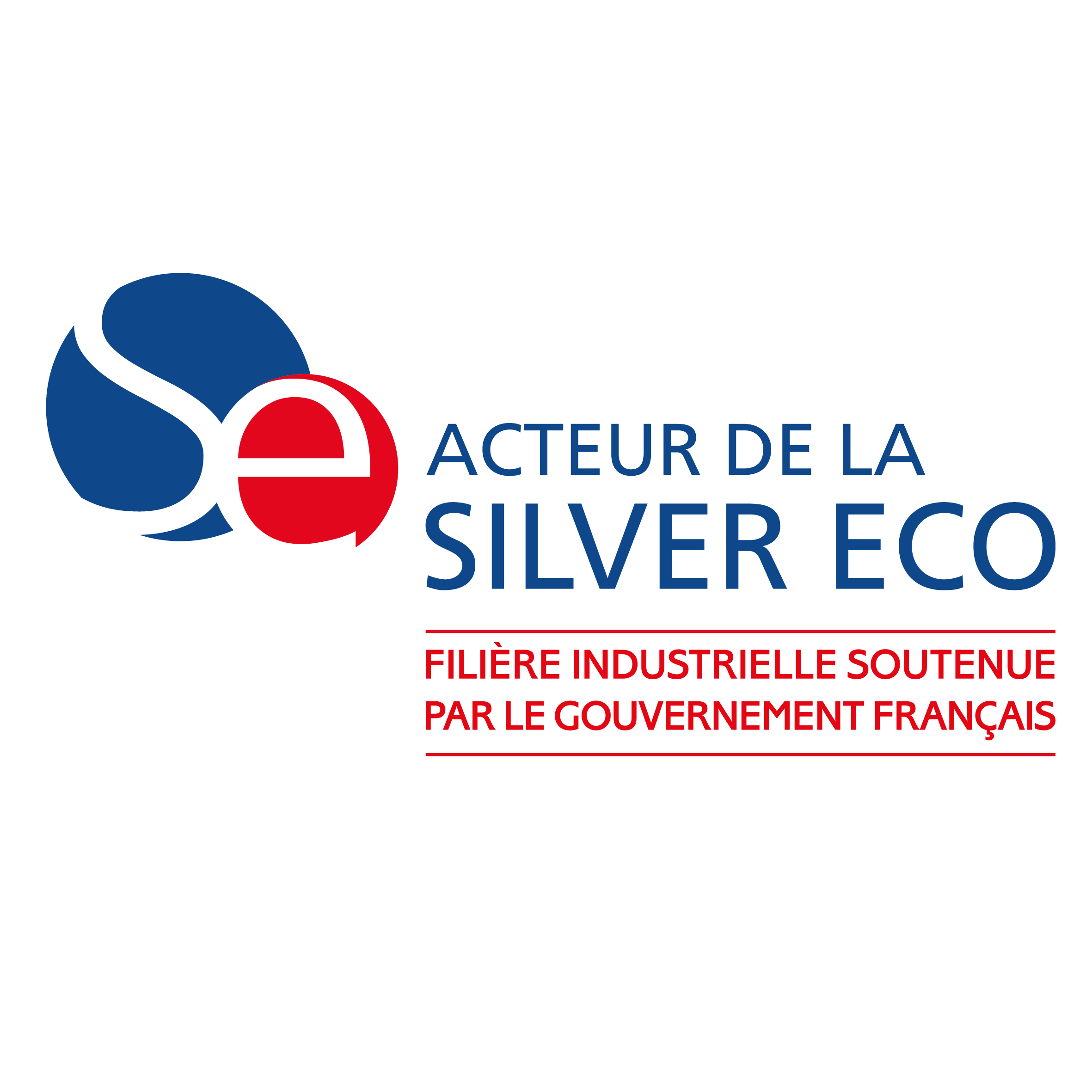 Logo-silver-economie