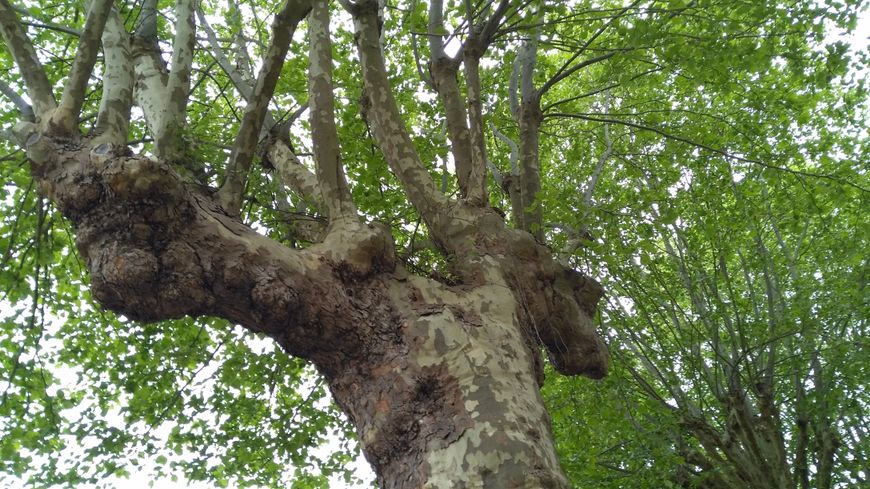 870x489 trognes 1