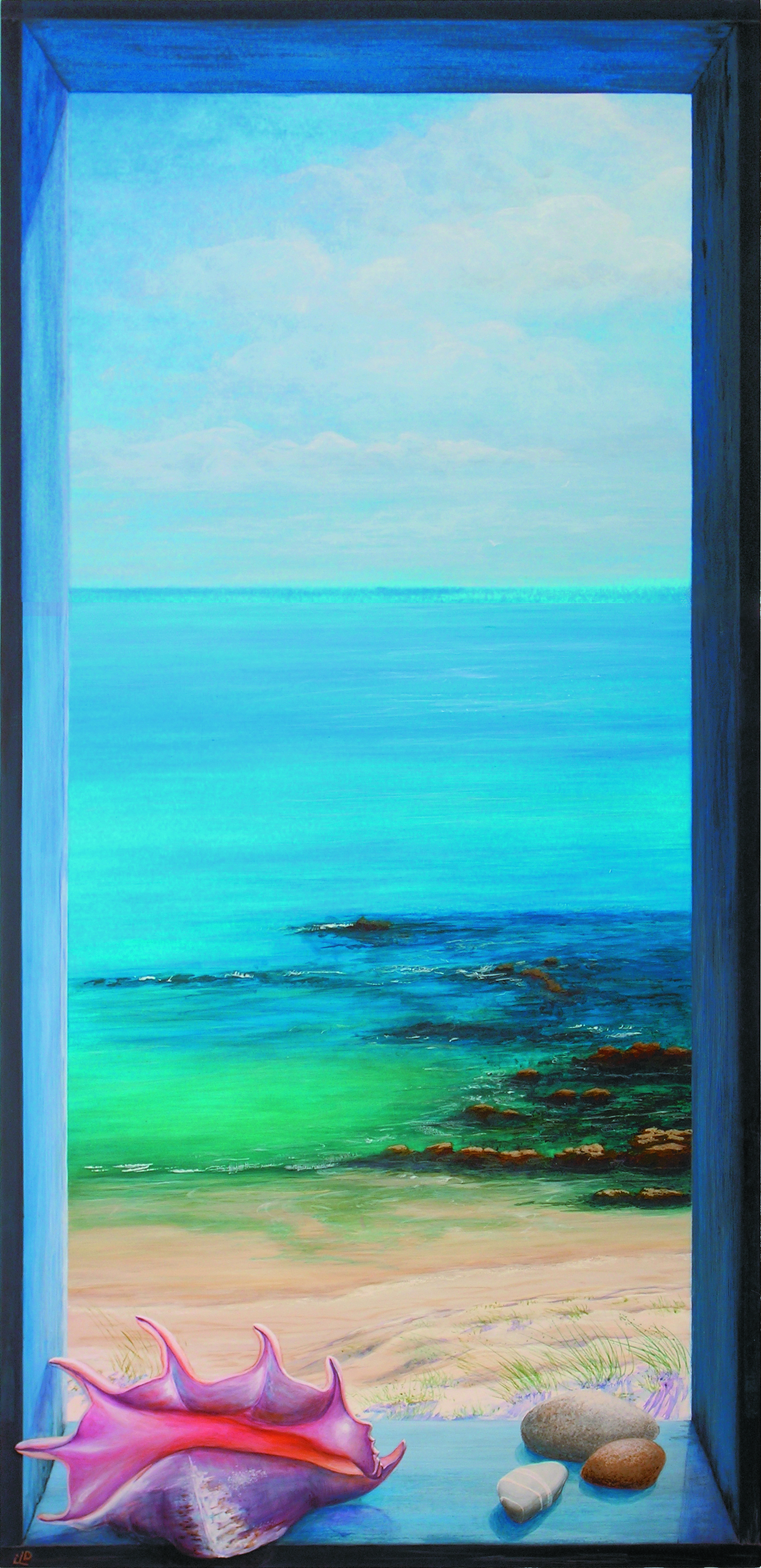 Mer et coquillage hd