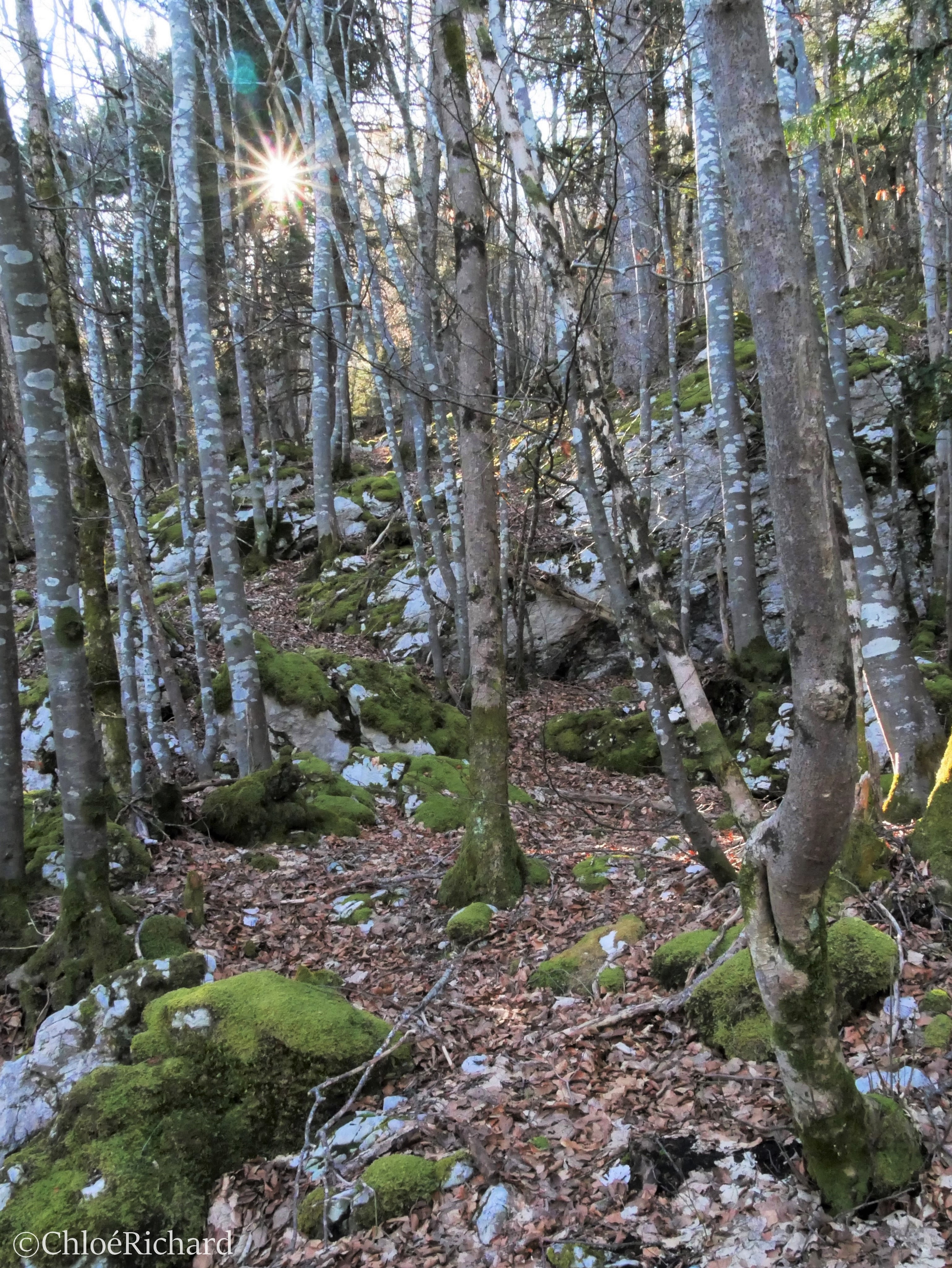 P1080381