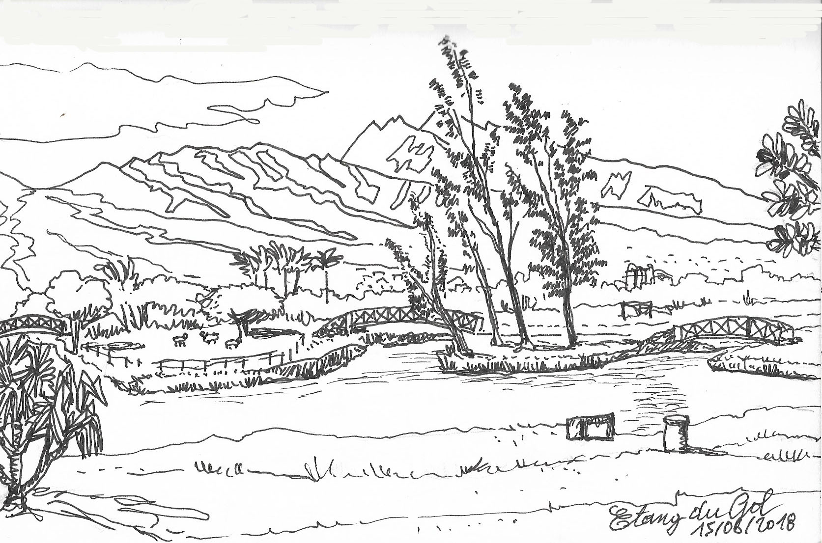Etang du gol 1