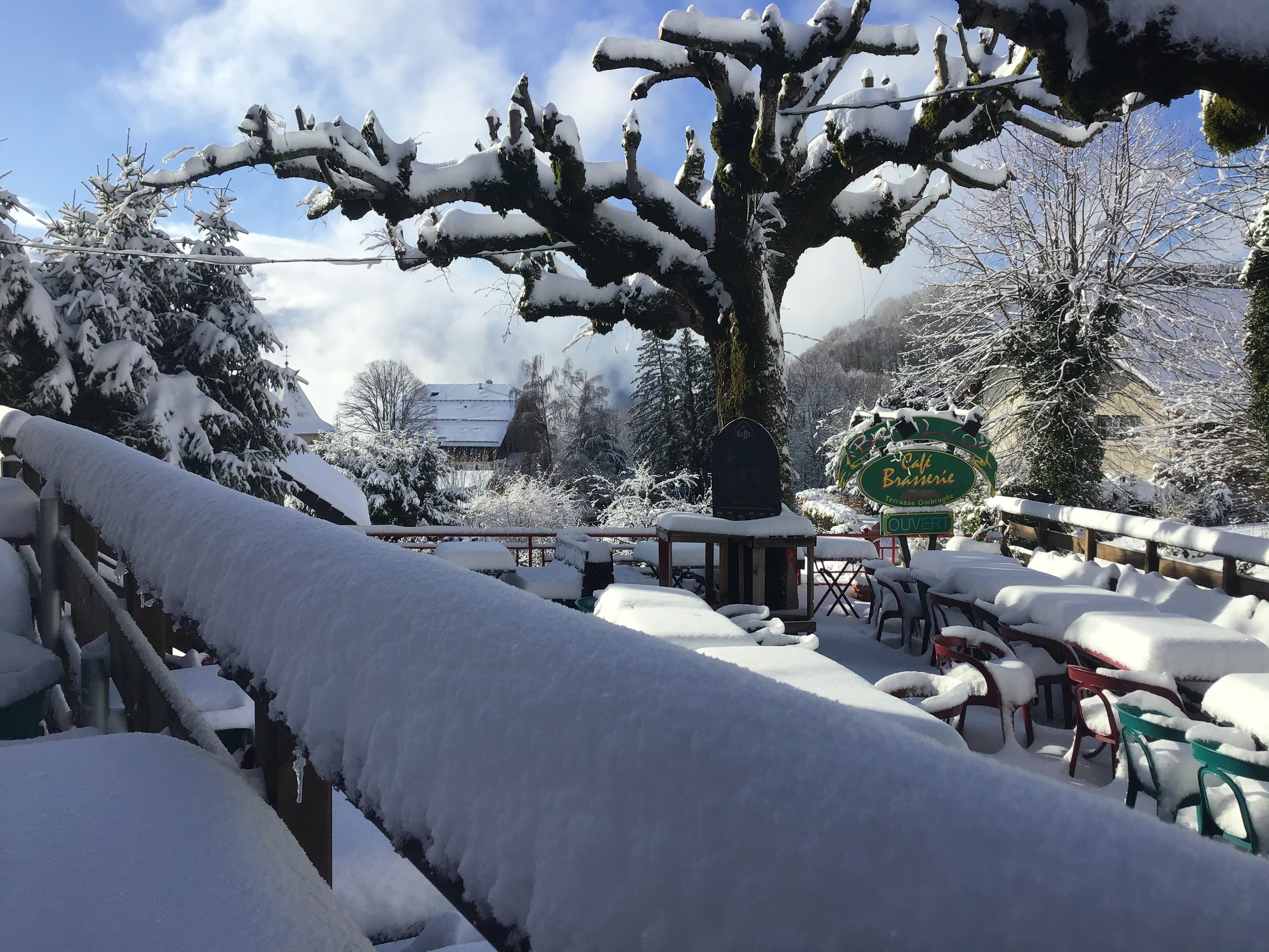 Bar hiver