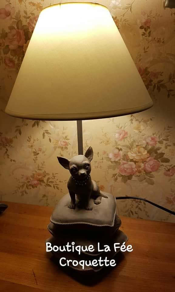 82079952 1137015216665429 6888745501148053504 n