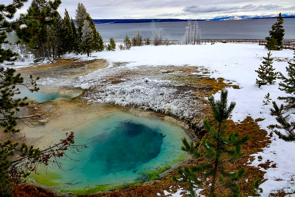 Geyser yellowstone national park wyoming usa 02