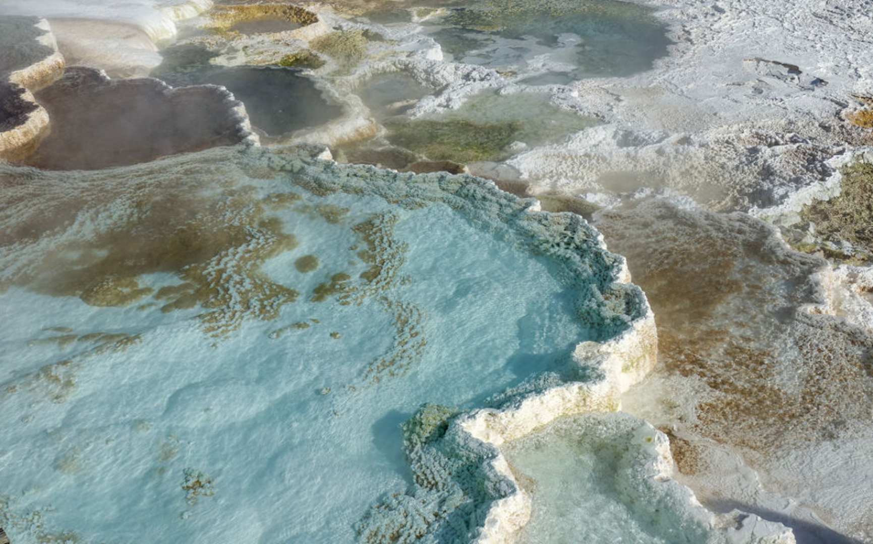 Mammoth hot spring yellowstone np wyoming usa 01