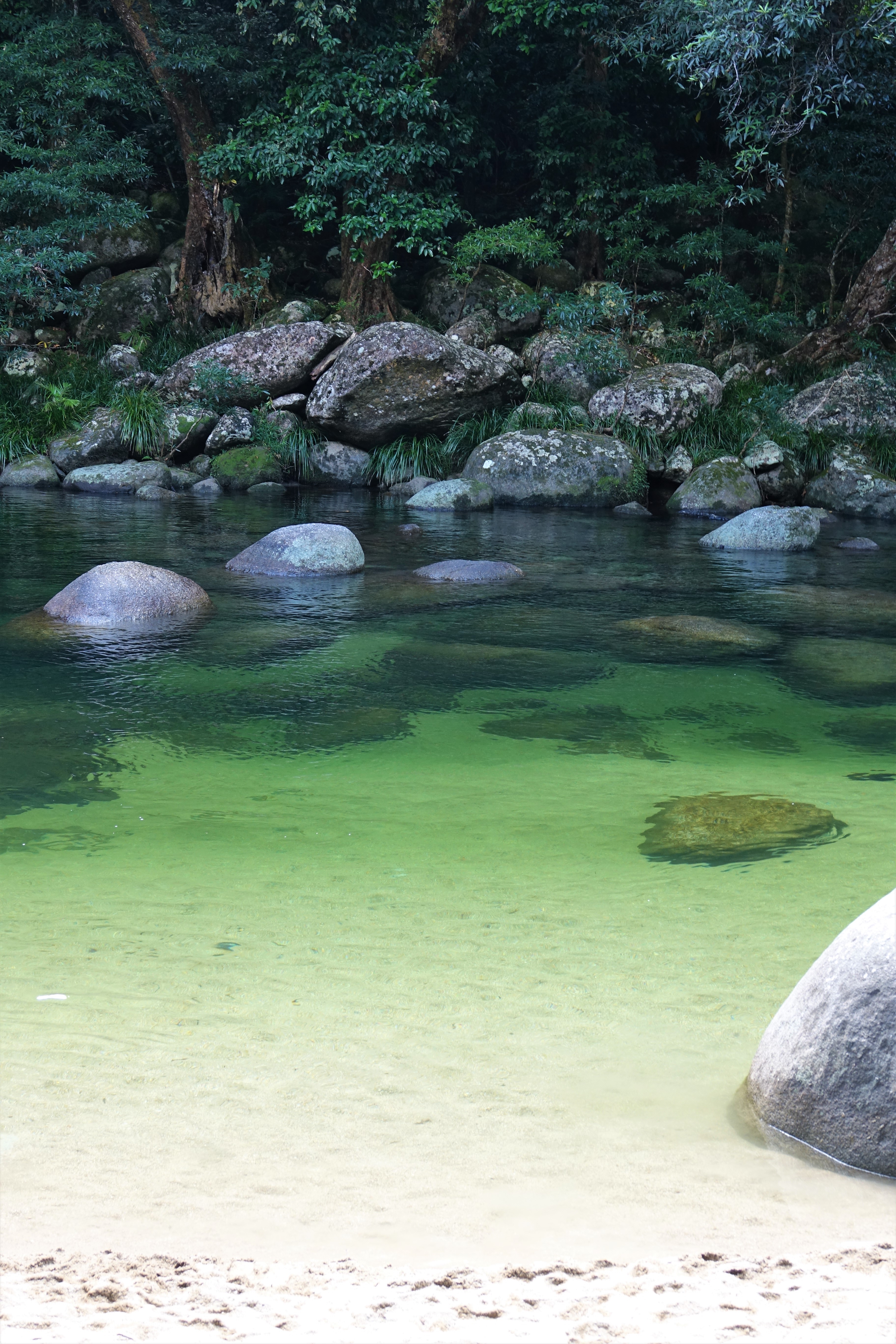 Mossman river queensland australia dsc05289