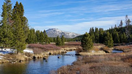 Yellowstone national park dsc06200