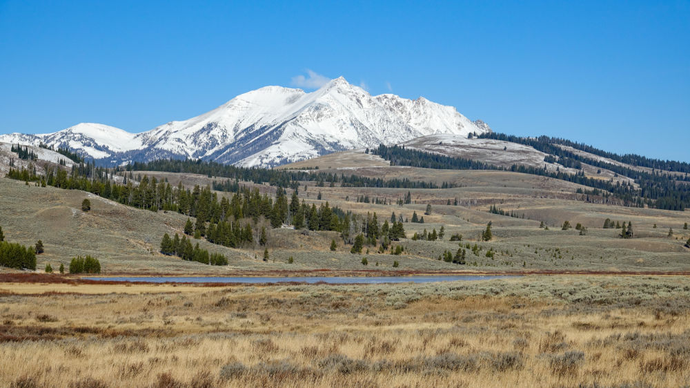 Yellowstone national park wyoming usa 01