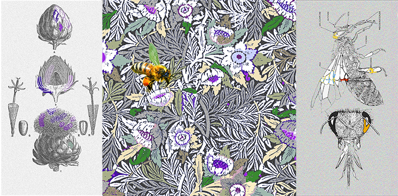 Artichaut abeille 13 06 re cupe re 