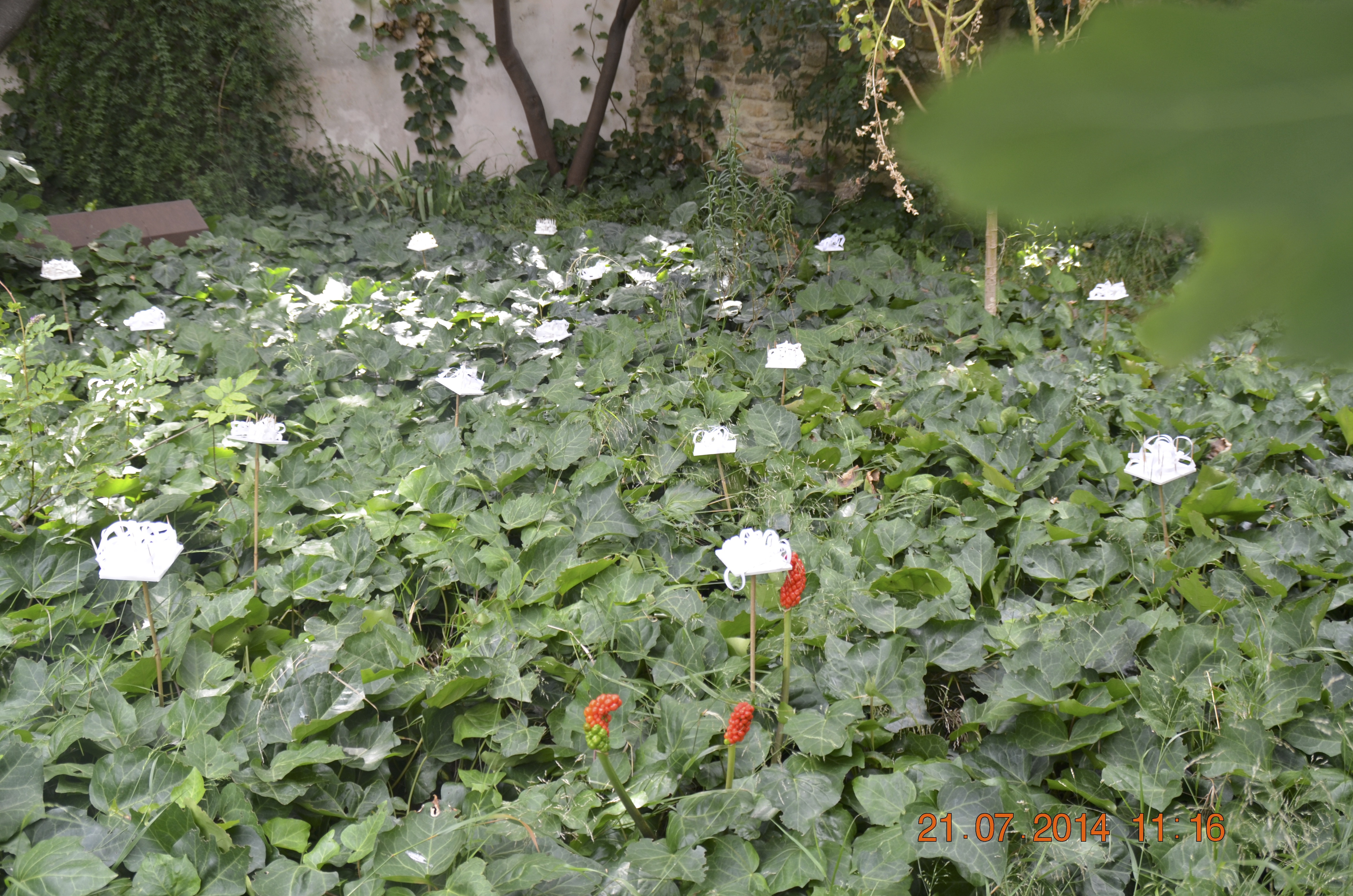 Dsc 0004 copie